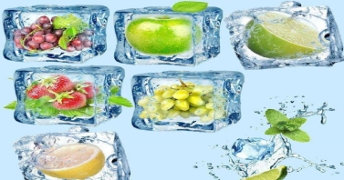 Cold chain logistics industry plastic pallet and case applications